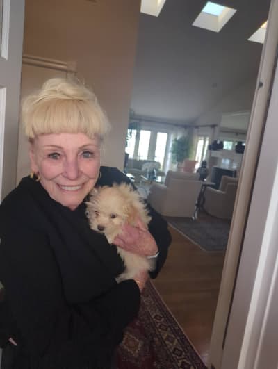 Rylee, a Malti Poo - Maltipoo puppy from Pawrade