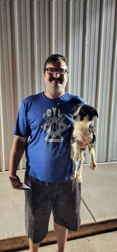 Carsyn, a Miniature Australian Shepherd puppy from Pawrade