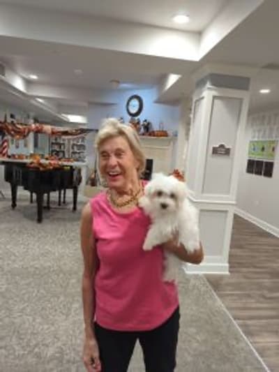 Presley, a Maltese puppy from Pawrade