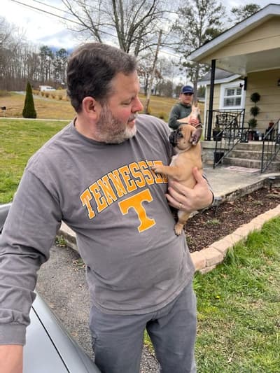 Lola, a French Bulldog puppy from Pawrade