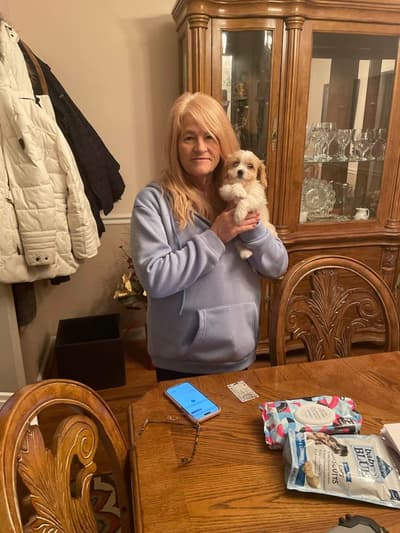 Wally, a Cavachon puppy from Pawrade