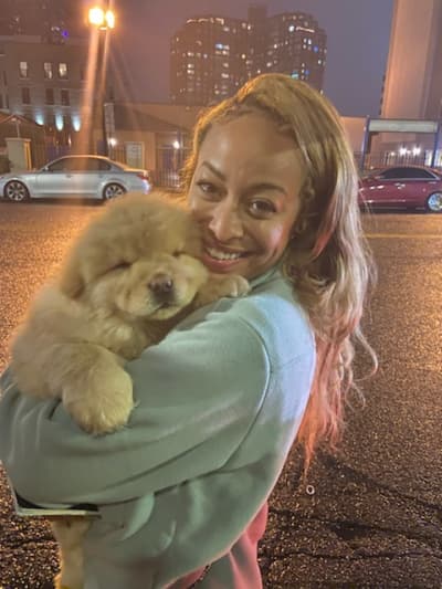 Razz, a Chow Chow puppy from Pawrade