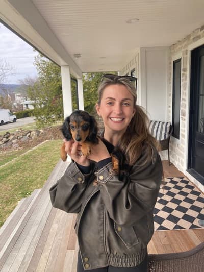 Gabriel, a Dachshund, Mini puppy from Pawrade