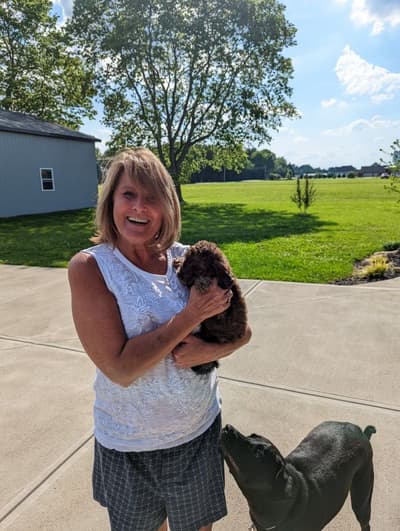 Priscilla, a Goldendoodle, Mini puppy from Pawrade