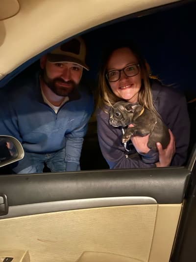 Arlo, a French Bulldog puppy from Pawrade