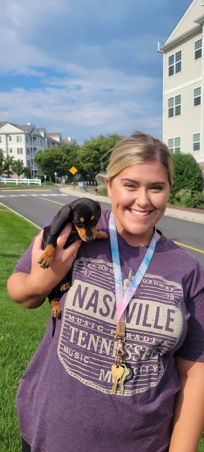 Lilac, a Dachshund, Mini puppy from Pawrade