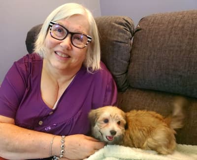 Addison, a Havanese puppy from Pawrade