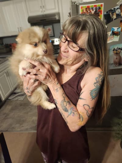 Ruby, a Pomsky puppy from Pawrade