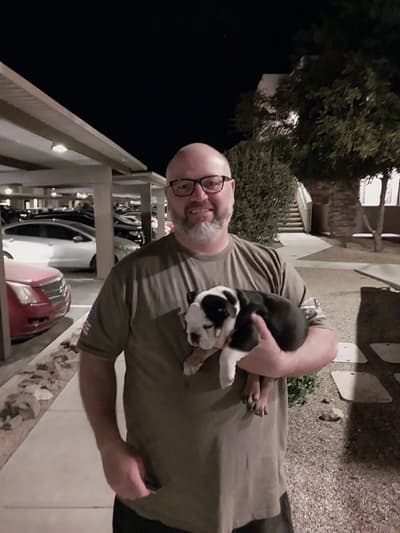 Ferdinand, a English Bulldog puppy from Pawrade