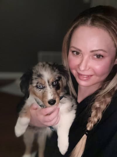Dora, a Australian Shepherd puppy from Pawrade