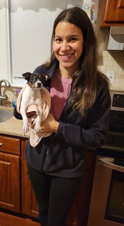 Hunter, a Rat Terrier puppy from Pawrade