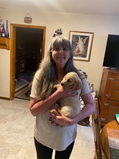 Isabelle, a Golden Retriever puppy from Pawrade