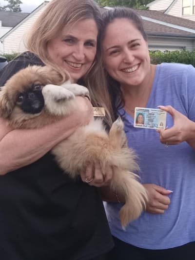 Barbi Doll, a Pekingese puppy from Pawrade