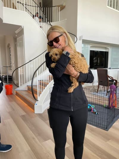 Hudson, a Cavapoo puppy from Pawrade
