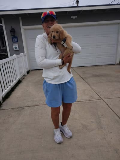 Maggie, a Golden Retriever puppy from Pawrade