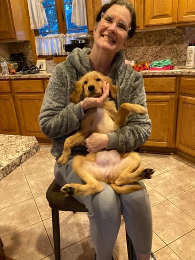 Katya, a Golden Retriever puppy from Pawrade
