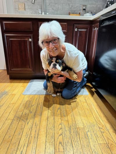Tori, a Olde English Bulldogge puppy from Pawrade