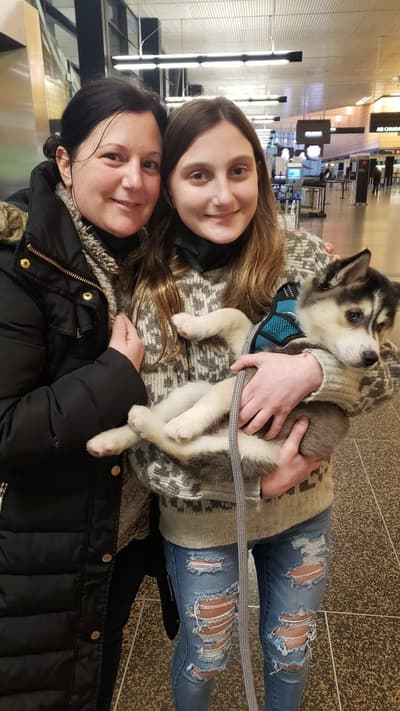 Snow, a Siberian Husky puppy from Pawrade