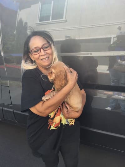 Camila, a Cocker Spaniel puppy from Pawrade