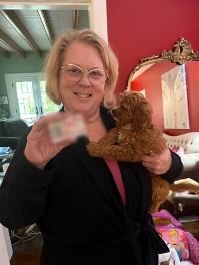 Kadeelyn, a Cavapoo puppy from Pawrade