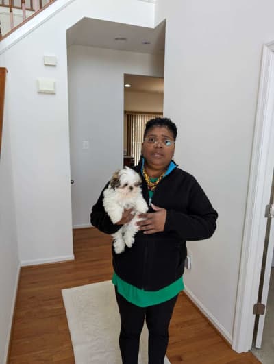 Nile, a Shih Tzu puppy from Pawrade