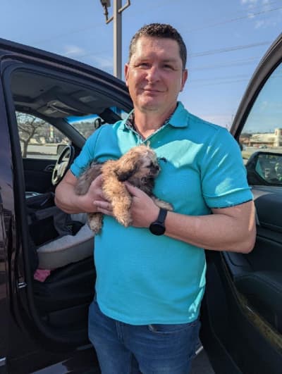 Mystique, a Shichon puppy from Pawrade