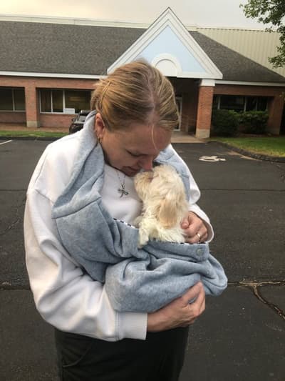 Savannah, a Havanese puppy from Pawrade