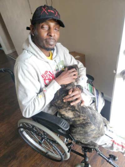 Jetson, a Cane Corso Mastiff puppy from Pawrade