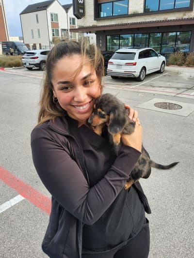 Paden, a Dachshund puppy from Pawrade