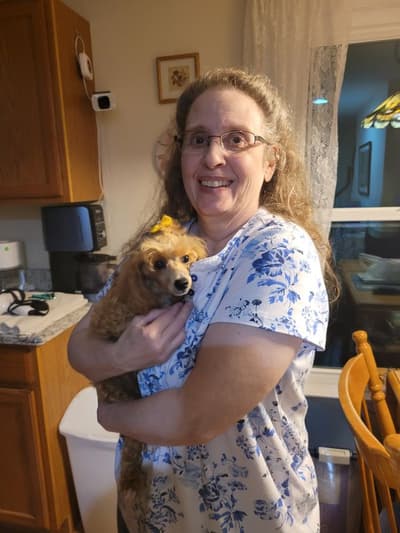 Loni, a Poodle, Toy puppy from Pawrade