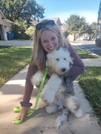 Alfie, a Sheepadoodle puppy from Pawrade