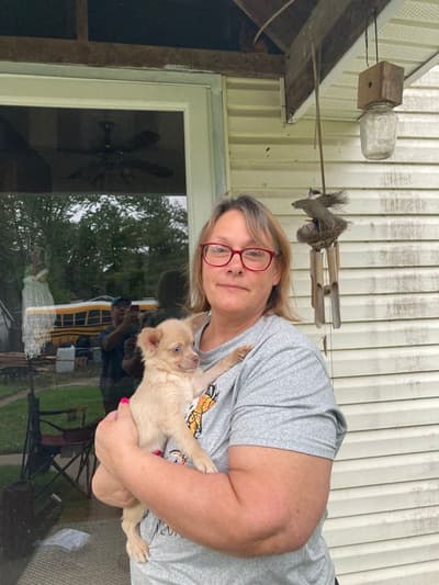 Bucky, a Chihuahua puppy from Pawrade