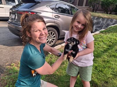 Serenity, a Chihuahua puppy from Pawrade