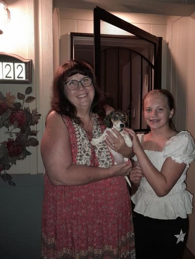 Tonya, a Dachshund, Mini puppy from Pawrade