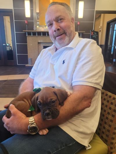 Apache, a Boxer puppy from Pawrade