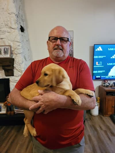 Josie, a Labrador Retriever puppy from Pawrade