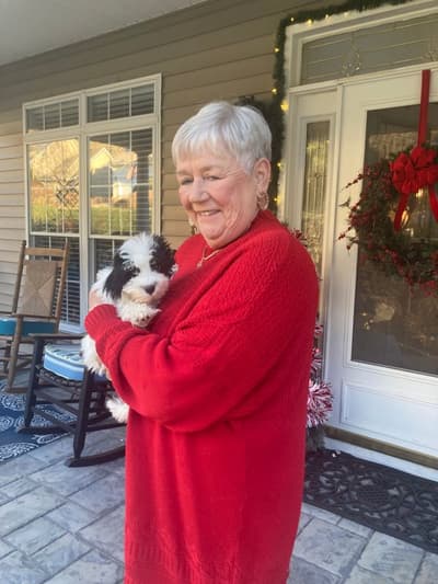 Louisa, a Havanese puppy from Pawrade
