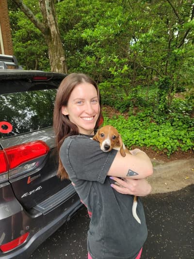 Roxie, a Dachshund, Mini puppy from Pawrade