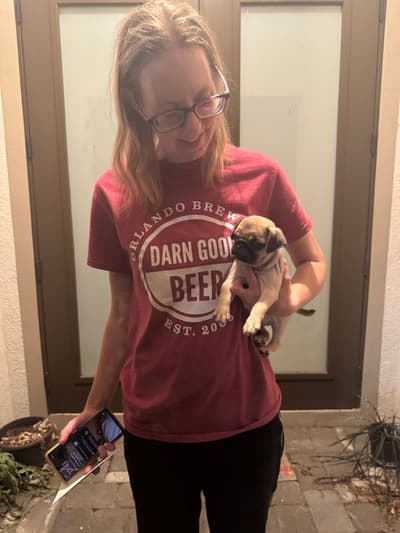 Nikki, a Pug puppy from Pawrade