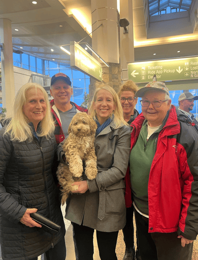 Orson, a Havanese puppy from Pawrade