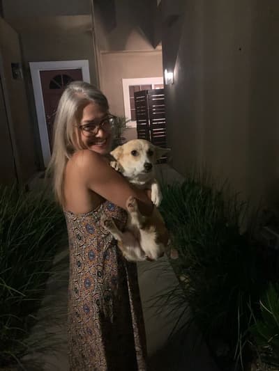 Gabby, a Corgi, Pembroke Welsh puppy from Pawrade