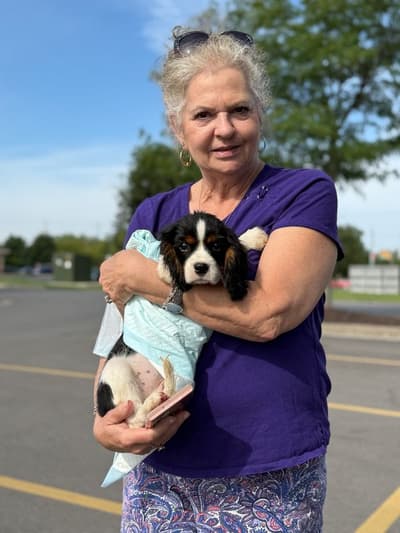 Bobby, a Cavalier King Charles Spaniel puppy from Pawrade