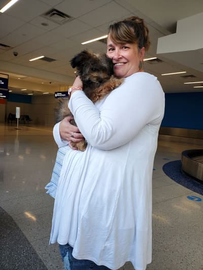 Pippie, a Yorkiepoo - Yorkie Poo puppy from Pawrade