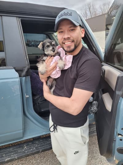 Buttons, a Schnauzer, Miniature puppy from Pawrade