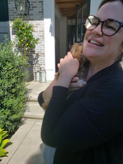 Copper, a Shih Tzu puppy from Pawrade