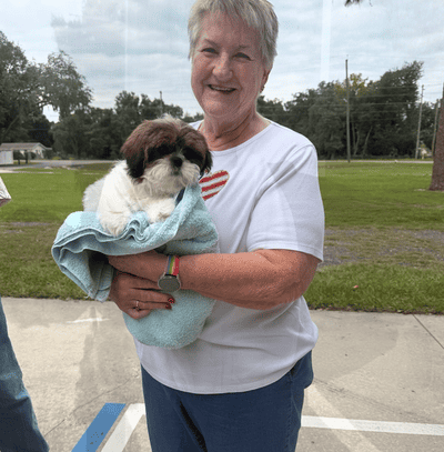 Sophia, a Shih Tzu puppy from Pawrade