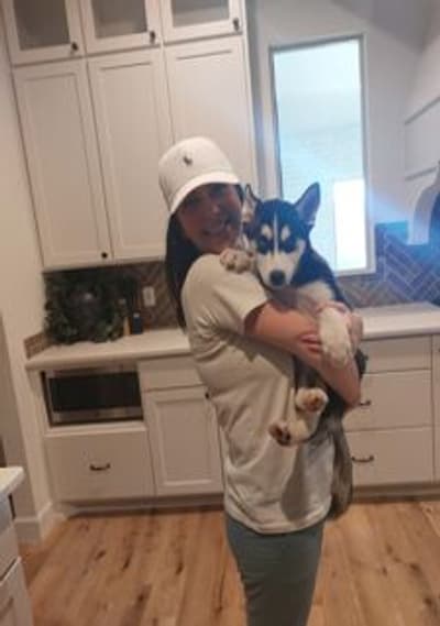 Colton, a Siberian Husky puppy from Pawrade