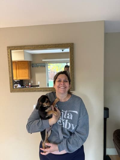 Joye, a Puggle puppy from Pawrade