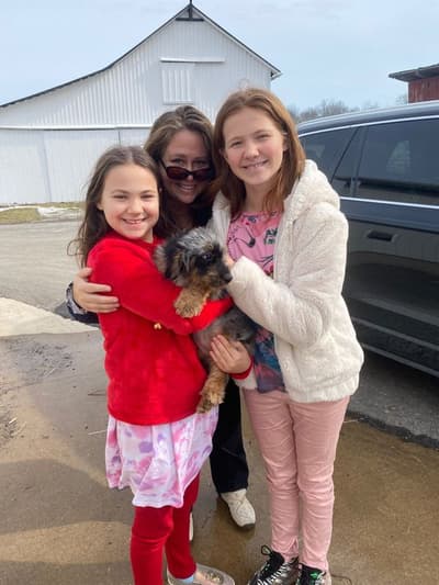 Shayna, a Bernedoodle, Mini puppy from Pawrade