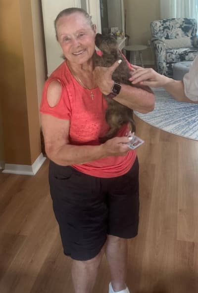 Lady Sassington, a Cairn Terrier puppy from Pawrade